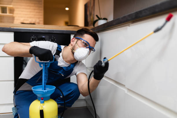 Best Affordable Pest Control Services  in Erie, PA