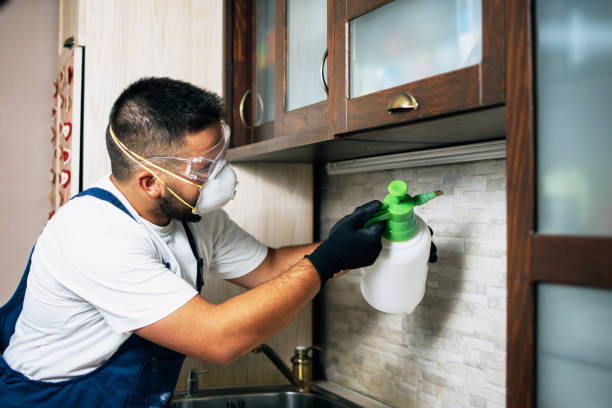 Best Pest Control for Businesses  in Erie, PA
