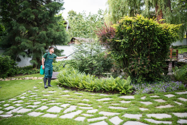 Best Affordable Pest Control Services  in Erie, PA