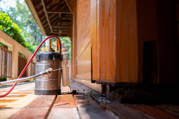 Best Wasp Removal Services  in Erie, PA