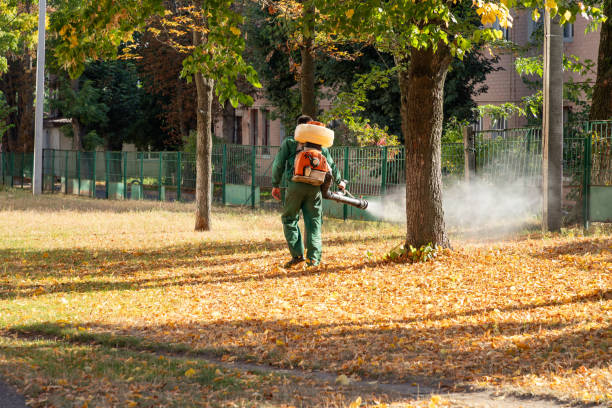 Best Bird Control  in Erie, PA