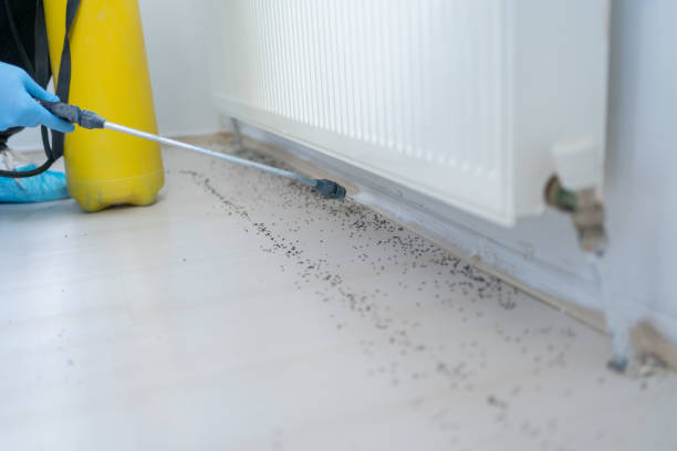 Best Residential Pest Control  in Erie, PA