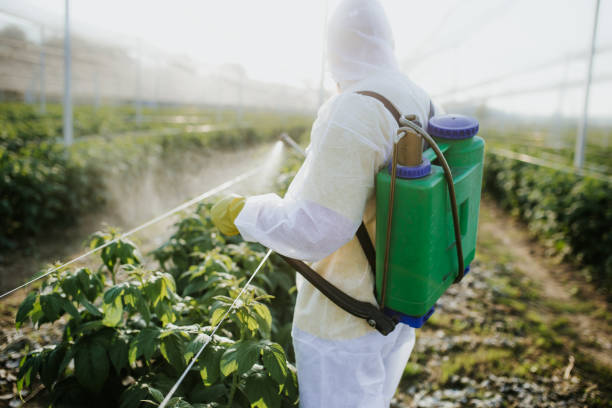 Best Wildlife Control Services  in Erie, PA